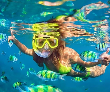 Bali: Snorkeling on 2 spots with Lunch and Transport