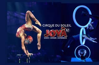 Cancún: Cirque du Soleil JOYÀ Show Ticket