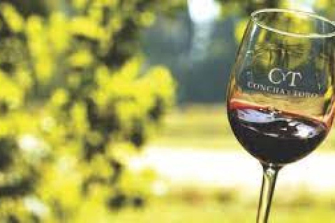 Concha y Toro Vineyard Premium Tour w/transportation