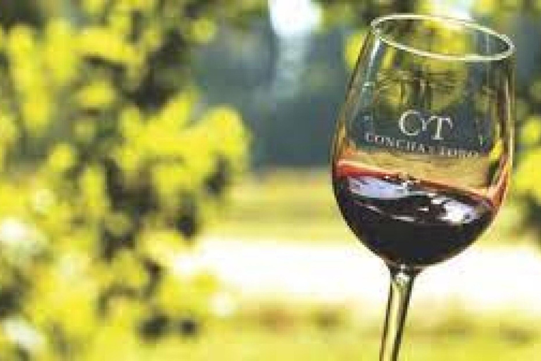 Concha y Toro Vineyard Premium Tour w/transportation