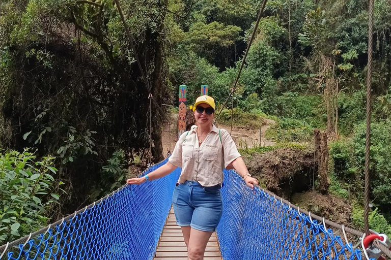 Private Tour with Guide to the Highest Waterfall in Colombia Bogotá: La Chorrera Waterfall Private Tour