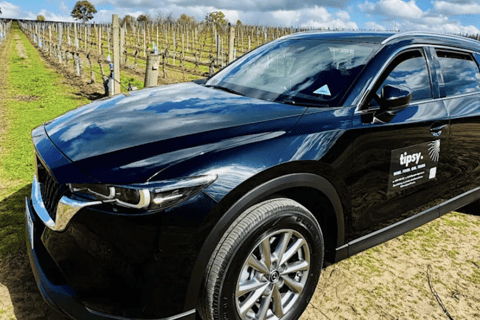 Adelaide: Premium private wine tour in McLaren Vale