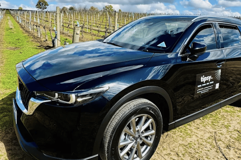 Adelaide: Premium private wine tour in McLaren Vale