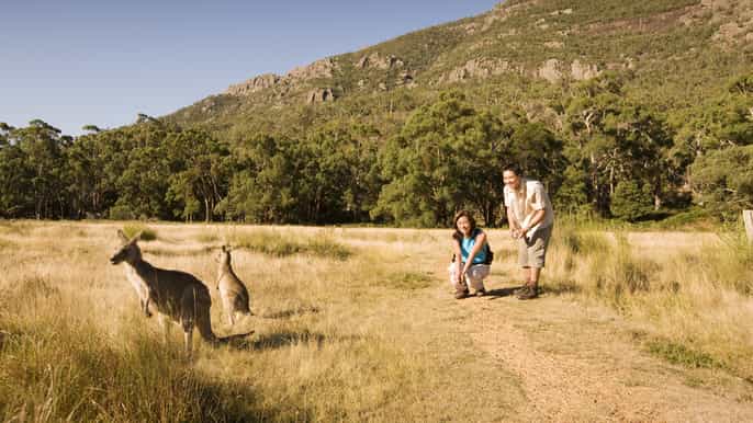 oceans to mountains explorer 3day great ocean road tour
