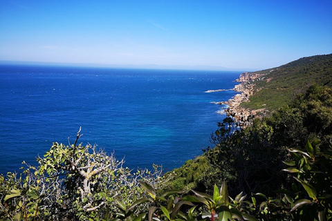 Tangier: 2-Day Trip From Tarifa