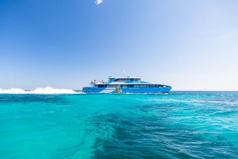 From Perth: Rottnest Island Ferry & Admission Same-Day Return Ferry Tickets from Perth without Pickup