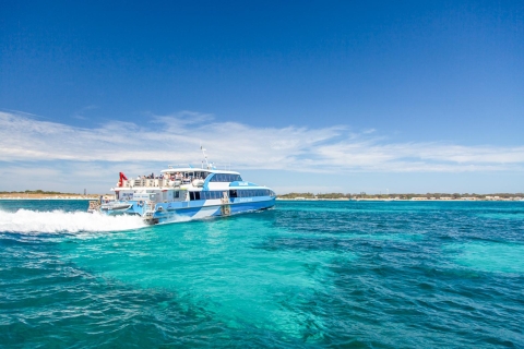 Vanuit Perth: veerboot en toegang Rottnest IslandVanuit Perth: retour veerbootticket zelfde dag, geen ophalen
