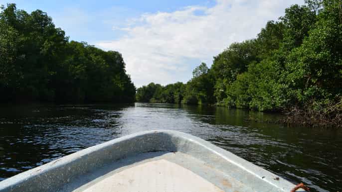 chiapas 3day encrucijada biosphere reserve and coffee tour