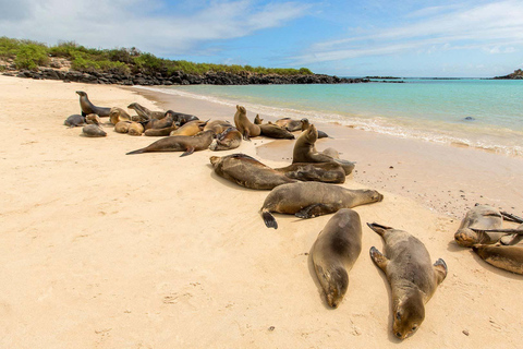 Galápagos Ultimate: 5-Day Adventure Tour with Snorkeling