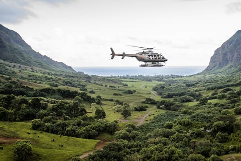 Oahu: Doors-Off Circle Island Helicopter Experience