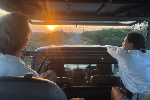 From Galle: Ella Private Day Tour with Guide & Transfers Pickup From Ella / Tissamaharama Area