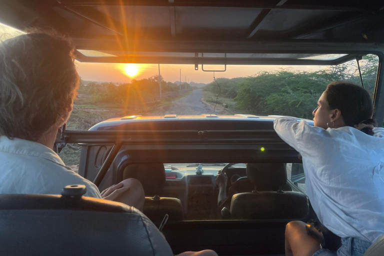 From Galle: Ella Private Day Tour with Guide & Transfers Pickup From Ella / Tissamaharama Area