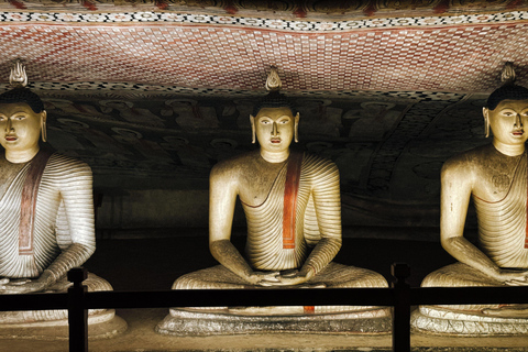 Kandy To Sigiriya & Dambulla Tour With Village Experience