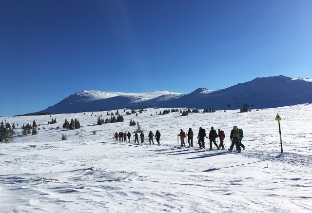 Visit Sofia Black Peak-Vitosha Mountain Snowshoeing Day Trip in Sofía