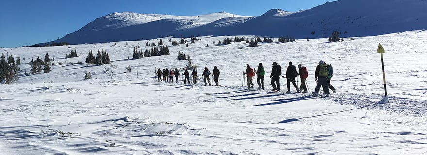 Sofia : Excursion d'une journée en raquettes à Black Peak-Vitosha Mountain