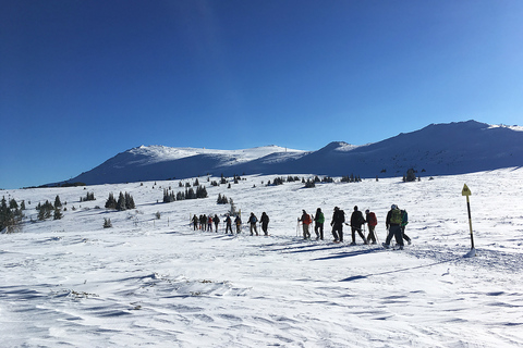 Sofia: Viagem de 1 dia com raquetes de neve a Black Peak-Vitosha MountainSofia: viagem diurna de raquetes de neve Black Peak-Vitosha Mountain