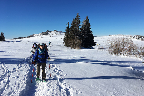 Sofia: Dagsutflykt med snöskor i Black Peak-Vitosha MountainSofia: Black Peak-Vitosha Mountain Snowshoeing Day Trip