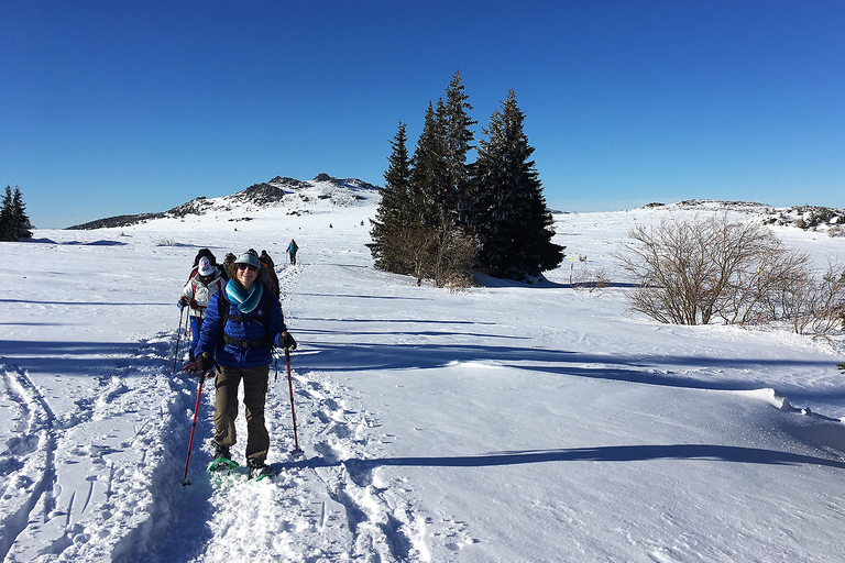 Sofia: Black Peak-Vitosha Mountain Snowshoeing Day Trip