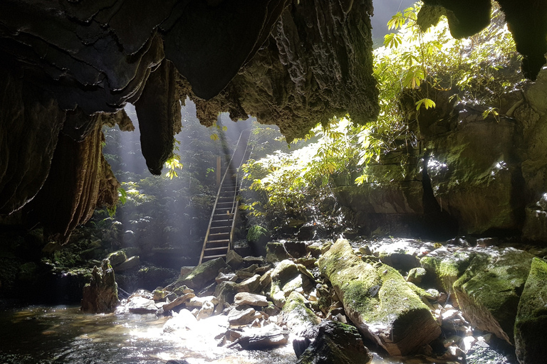 Waitomo: Eco-Cave rondleiding met gids