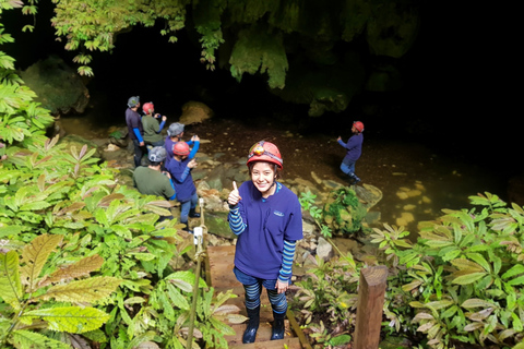 Waitomo: Eco-Cave rondleiding met gids