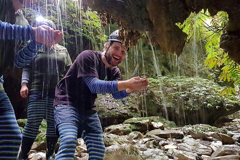 Waitomo: Wycieczka z przewodnikiem po jaskiniach ekologicznychWaitomo: Eco-Cave Tour z przewodnikiem