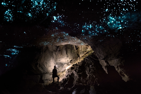 Waitomo: Wycieczka z przewodnikiem po jaskiniach ekologicznychWaitomo: Eco-Cave Tour z przewodnikiem