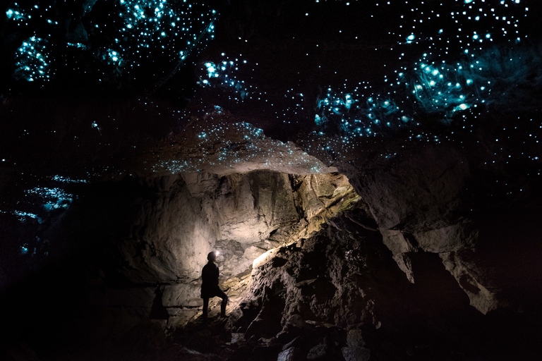 Waitomo: Tour guidato delle grotte ecologiche