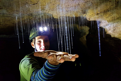 Waitomo: Wycieczka z przewodnikiem po jaskiniach ekologicznychWaitomo: Eco-Cave Tour z przewodnikiem