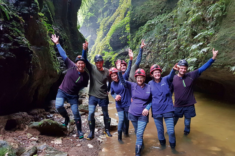 Waitomo: Eco-Cave rondleiding met gids