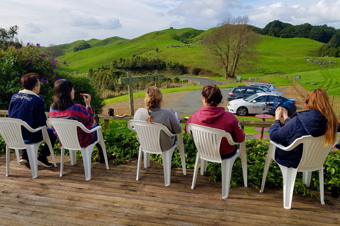 Waitomo : Visite guidée de l&#039;éco-caverne