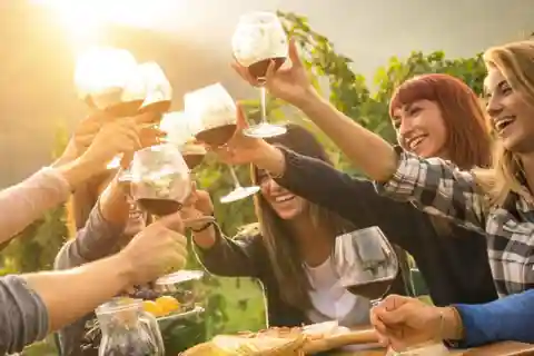 Wine Experience Colli Bolognesi - Afternoon tour