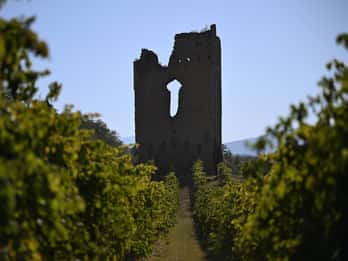 Torre Raone: the tradition of the vineyards