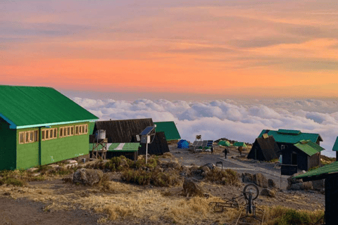 莫希：乞力马扎罗山马兰古路线 2 日徒步