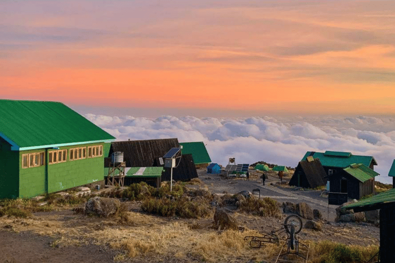 莫希：乞力马扎罗山马兰古路线 2 日徒步