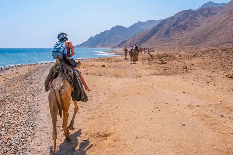 Sharm-el-Sheikh: snorkelen en kamelensafari bij Blue HoleSharm-el-Sheikh: snorkelen en kameel rijden bij Blue Hole