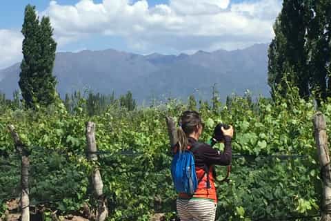 luján de cuyo malbec and sparkling wine tour