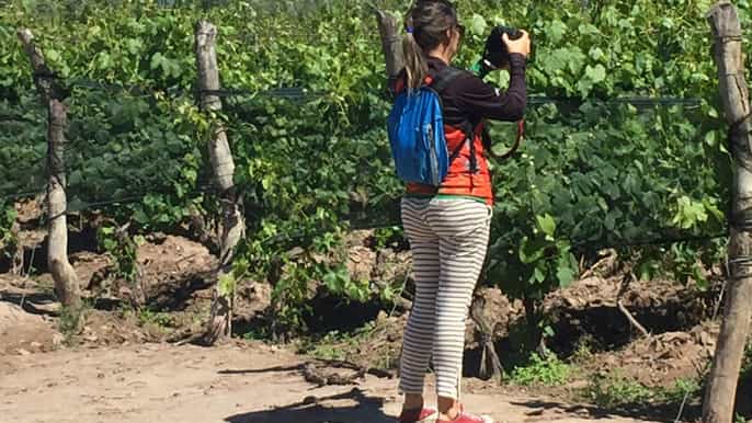 luján de cuyo malbec and sparkling wine tour