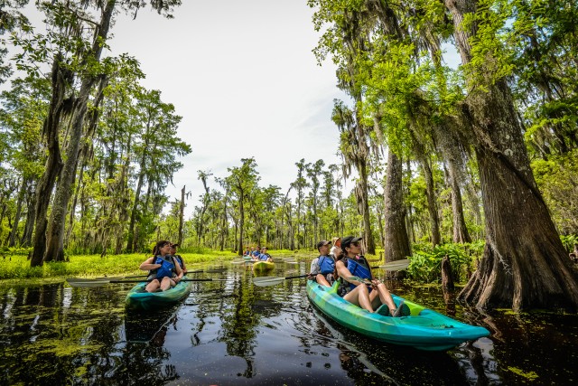 Visit New Orleans Manchac Magic Kayak Swamp Tour in Garyville