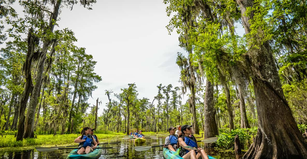 manchac magic kayak swamp tour