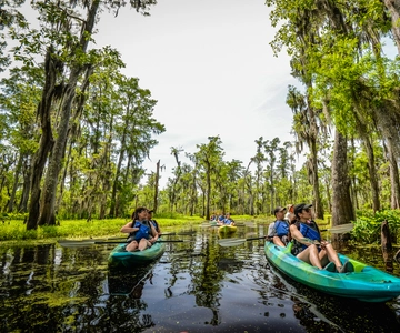 New Orleans: Manchac Magic Kayak Swamp Tour