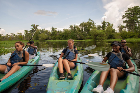 Nueva Orleans: Excursión en Kayak por el Pantano Mágico de ManchacExcursión por el pantano en kayak sin transporte