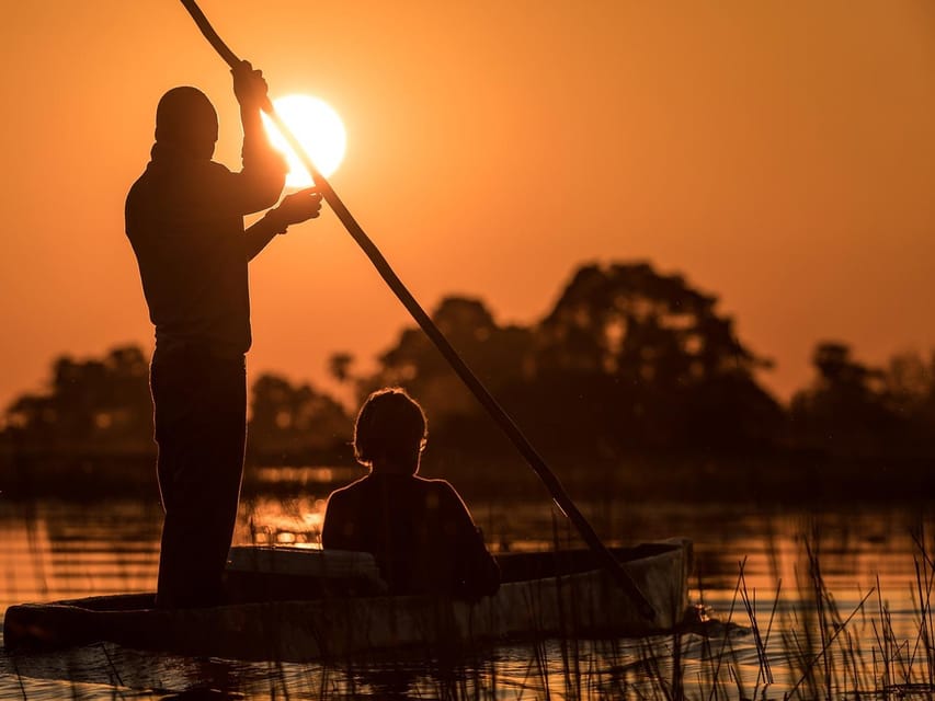 OKAVANGO DELTASI GÜNÜBİRLİK GEZİSİ | GetYourGuide