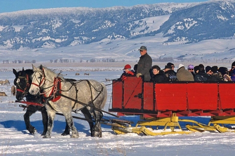 Jackson: excursion d'une journée en hiver à Grand Teton et au National Elk RefugeAnnulez 2 jours à l'avance: Grand Teton et National Elk Refuge