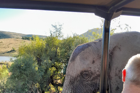 Johannesburg: Pilanesberg nationalpark 2-dagars privat safari