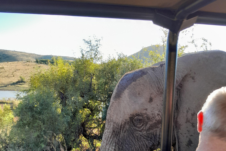 Johannesburg : Safari privé de 2 jours dans le parc national de Pilanesberg