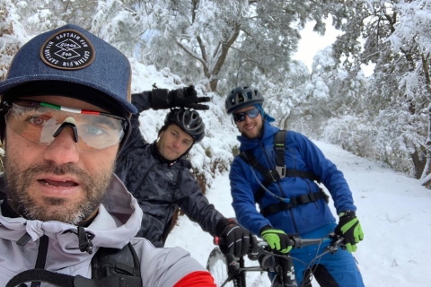 Etna: półdniowa wycieczka rowerowa na EtnęMt Etna Shared Mountain Bike Tour po angielsku
