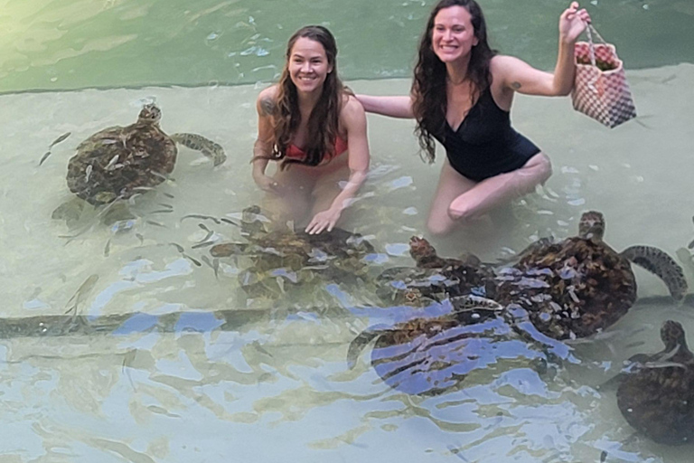 Zanzibar – delfiny, żółwie i konieSafari kajakiem z delfinami i żółwiami