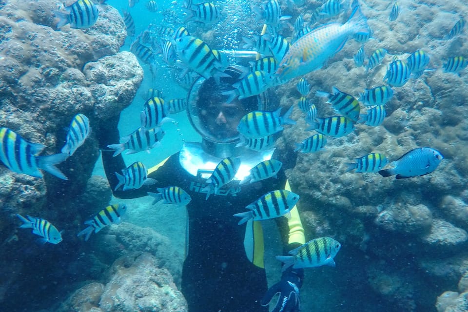 Nusa Dua Underwater Sea Walking Experience Getyourguide