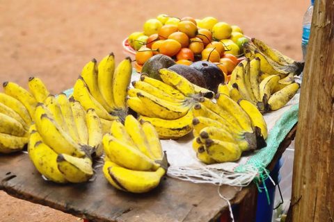 1 Day Private Cultural tour to Materuni Waterfalls & Chemka