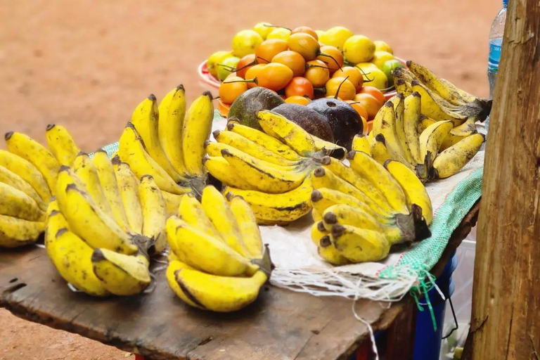 1 Day Private Cultural tour to Materuni Waterfalls & Chemka